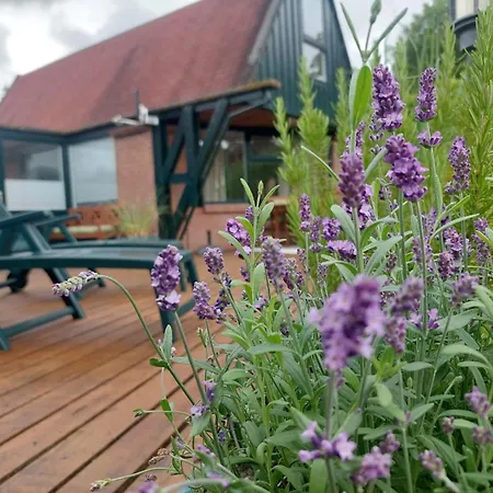 Nordholland Tatil Evi *