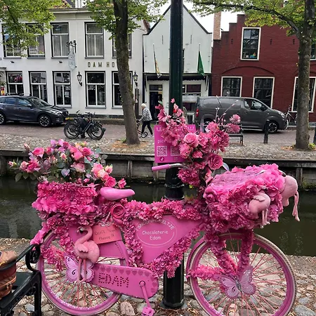 Nordholland Holiday home