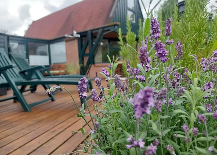 Nordholland Hébergement de vacances *